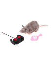 R/c Mouse